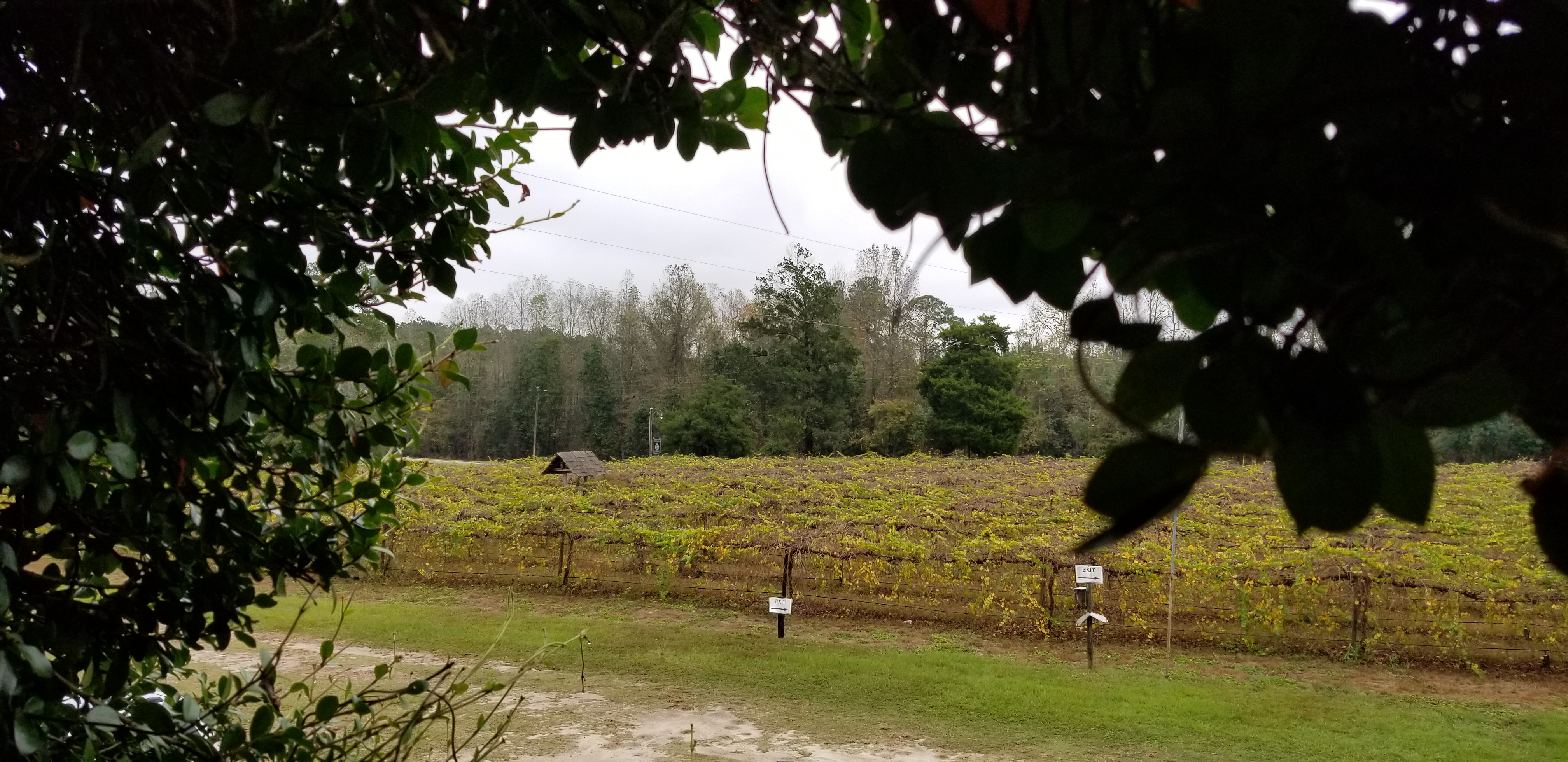 A plated pairing set out for guests