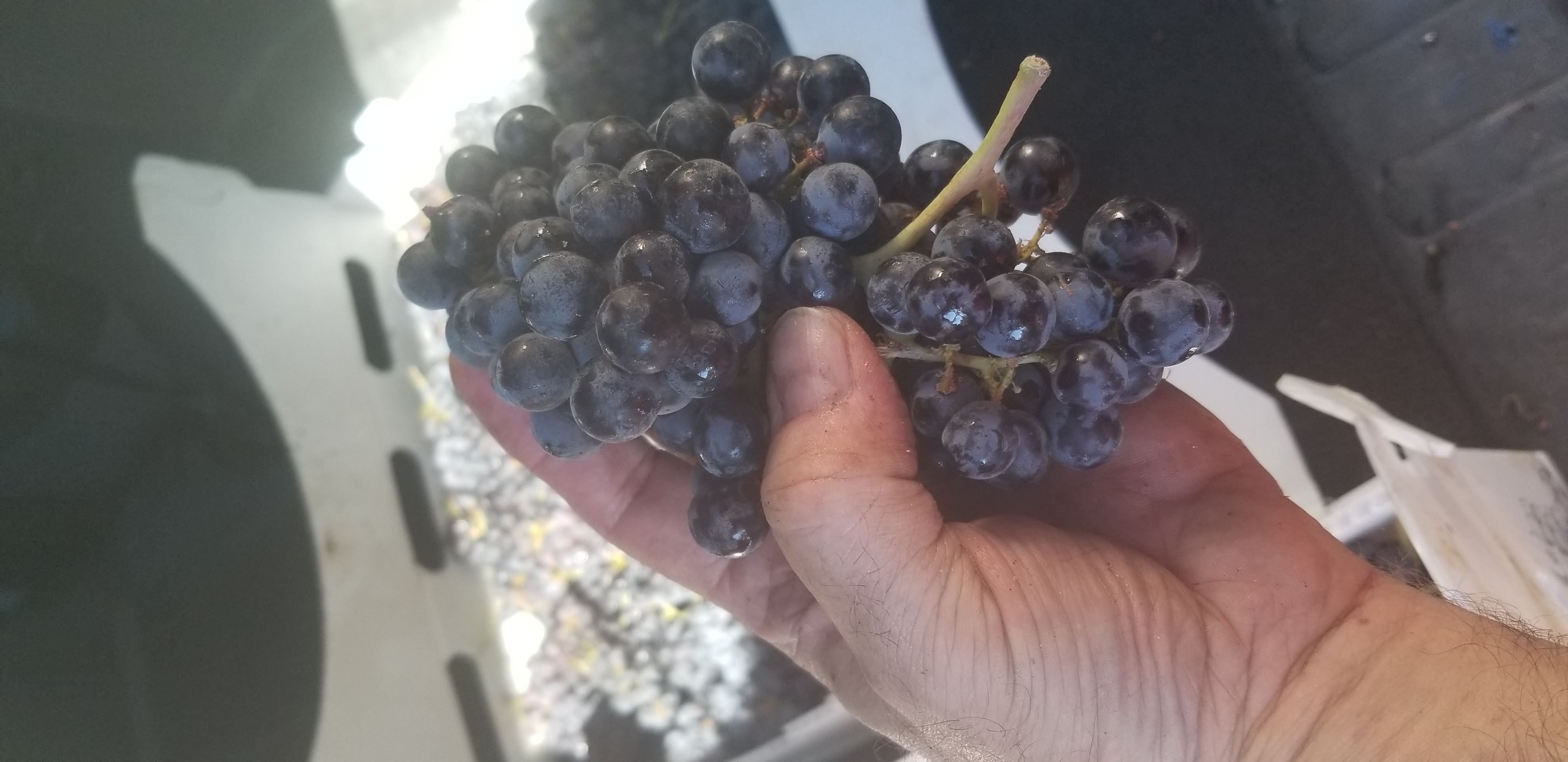 Archive photo from September 2021