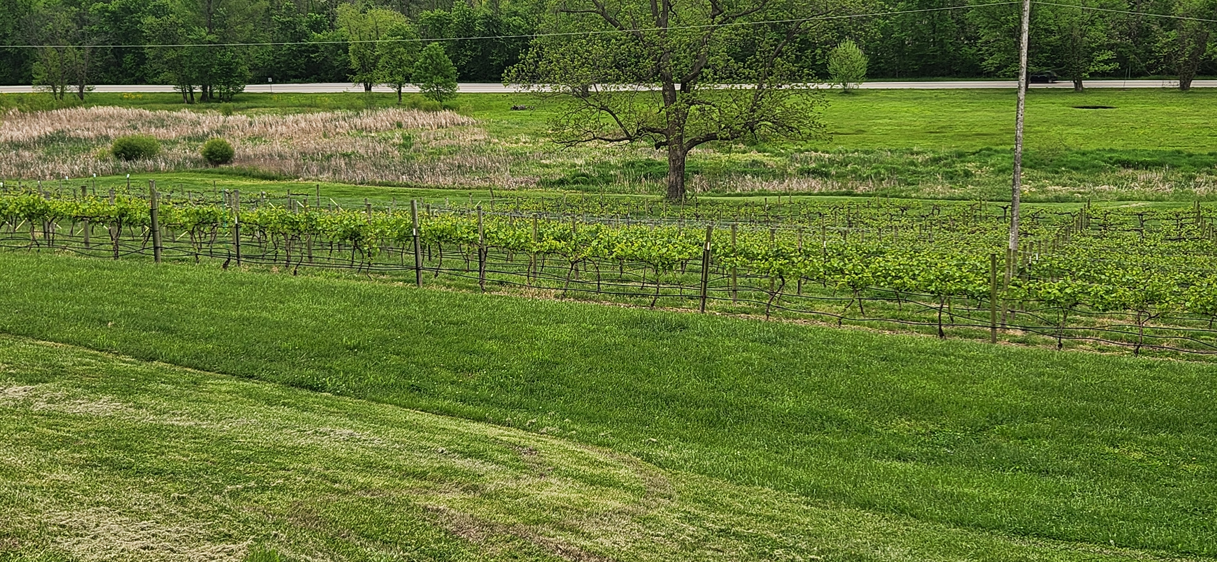 A recent event moment from Art's World of Wine